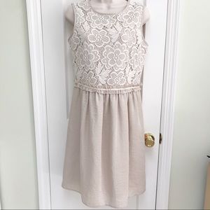 🌹The Limited Lace Dress